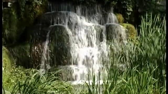 Дендропарк "Олександрія" смотреть онлайн