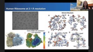 Sub-2 Angstrom Structures with the CRYO ARM 200: From Holes To Hydrogens