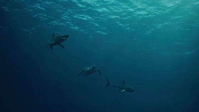МОЗАЗАВР- Король- Монстр доисторических глубин! Самый свирепый морской повелитель  в Меловом период