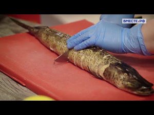 Фаршированная щука и форшмак. Вкусы России