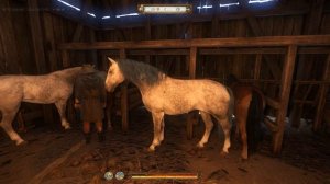 Kingdom Come: Deliverance Где купить лошадь?