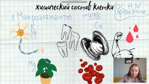Химический состав клетки. Часть I. Макро-, микро- и ультрамикроэлементы.
