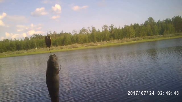 Тест TEARO и ЧЕРРИ смотреть онлайн