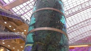 Самый большой морской аквариум в Москве ТРЦ Авиа парк