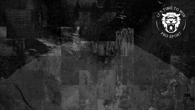 БЕГОВЫЕ ГОНОЧНЫЕ ЛЫЖИ. КАК ПРАВИЛЬНО ВЫБРАТЬ? ПРОФИЛЬ, КОНСТРУКЦИИ, ЭПЮРЫ смотреть онлайн