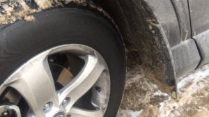 Нокиан хакапелита 8 отзыв