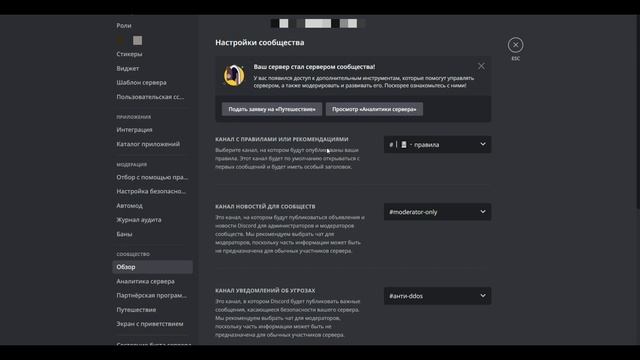 ? КАК ПОЛУЧИТЬ ЗНАЧОК РАЗРАБОТЧИКА В DISCORD ЗА 5 МИНУТ