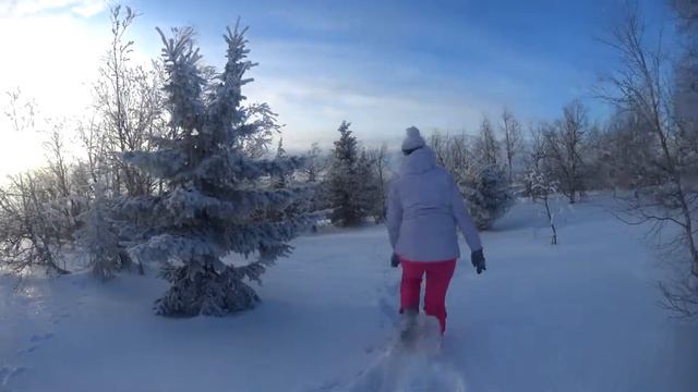 Не перепутайте заячьи следы!!!