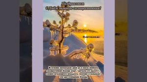 День зимнего солнцестояния... Татьяна Забалуева (Добрыдень). Автор и исполнитель.