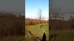 Бигль, девочка лает:) возраст 8 месяцев!