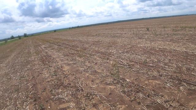 Такого у нас ещё не было, за сутки осадков 110мм,подсолнечник по обработке и прямом посеве. смотреть онлайн