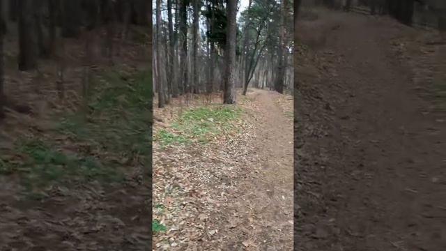 Покупка загородного дома