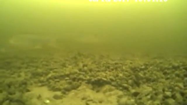 Рыбинка, плотва, март 2017 смотреть онлайн