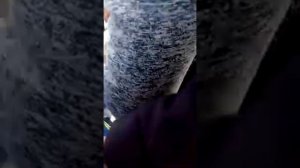 Прилип язык (зима) Бедный мальчик😯