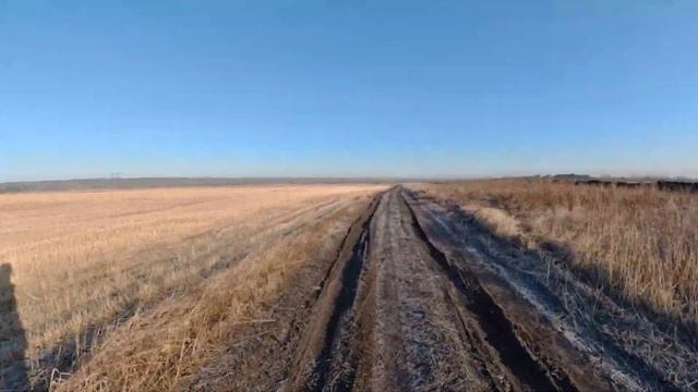 прогулка 03 ноября 2019 Евсино - Горлово - Ложок смотреть онлайн