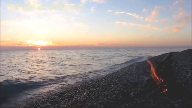 Edem Ibragimov - Royal end violine смотреть онлайн