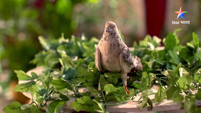 EPISODE-36 PART- 1 |   Kroor Singh ka shadyantra | Prem Ya Paheli – Chandrakanta смотреть онлайн