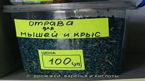 Отрава для муравьев из борной кислоты: рецепты смертельного угощения