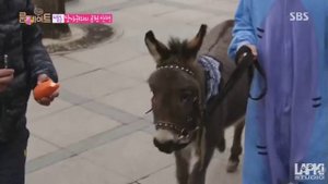 Сосед по комнате 2 сезон 43 серия