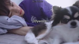 УГАДАЙ ПЕСНЮ STRAY KIDS ПО ОТРЫВКУ! /heart kids/