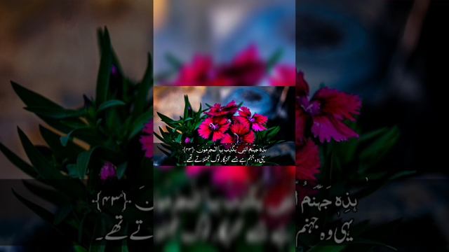 Surah Rahman With Urdu Translation | سورة الرحمن | Quran with Urdu Translation part 8 #kalimaehaq