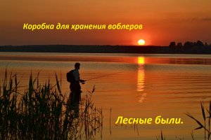 Коробка для хранения воблеров