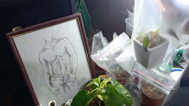 What happened to my orders from RL Hilton Summers? Where to pick up & how long it took? Episode #16 смотреть онлайн