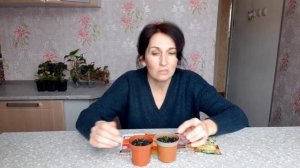 БЕГОНИЯ клубневая ИЗ СЕМЯН, ОБЗОР Ампельной Бегонии. Бегония домашняя