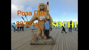 Сочи,Красная поляна,Роза Пик 2320м.Полет парапланериста
