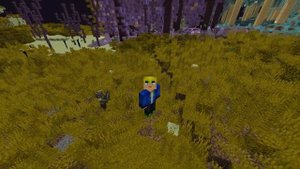 МОД НА БИОМЫ В КРАЮ В МАЙНКРАФТ | МОД НА КРАЙ | ОБЗОР МОДА MINECRAFT Stellarity