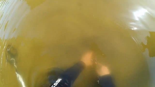 Услуги Металлоискателя. Поиск потерянного Золотого кольца. Коп в воде с металлоискателем Гарретт Ат