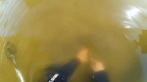 Услуги Металлоискателя. Поиск потерянного Золотого кольца. Коп в воде с металлоискателем Гарретт Ат