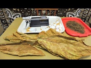 Табаководство;  Лист с зелёным оттенком, что делать.