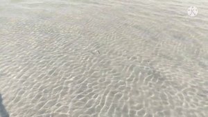 ⛱️ Озеро Большой Шантрапай Белоусово // ОЗЁРА ЧЕЛЯБИНСКОЙ ОБЛАСТИ