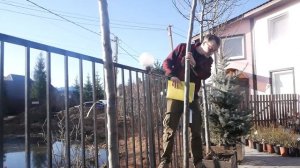 Садовый центр "Евро-плант" сегодня открывает сезон 2021 и начинает работу!