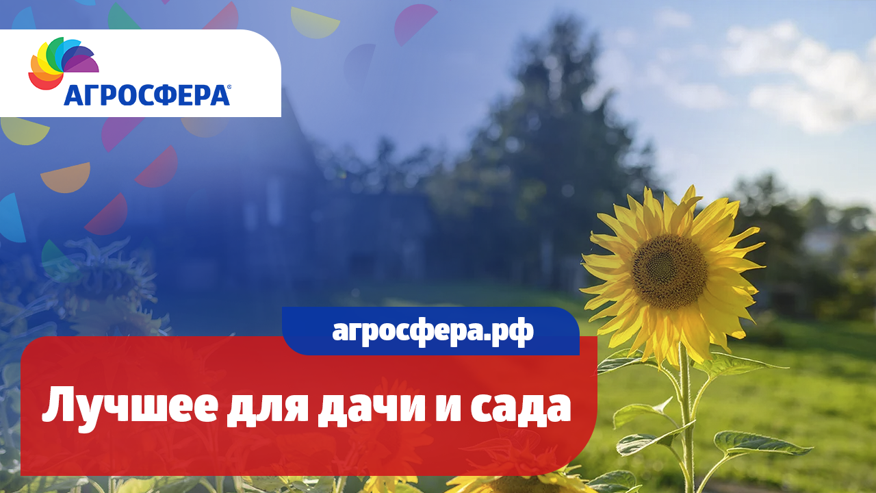 Всё лучшее для дачи и сада рядом / агросфера.рф смотреть онлайн