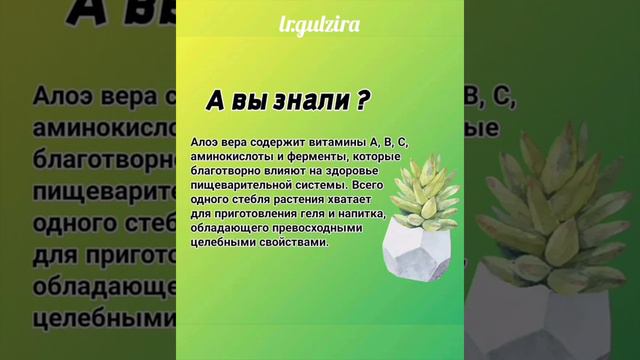 Интересных факты об Алоэ. смотреть онлайн