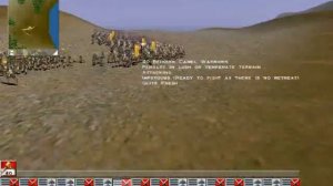 Camels - Medieval Total War 1