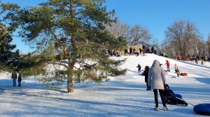 Зимние забавы на старый Новый год (14.01.2024) в парке Побед г. Волгодонска