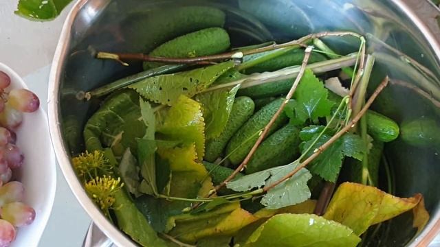Малосольные огурцы холодным способом.Рецепт малосольных огурцов.Как приготовить малосольные огурцы