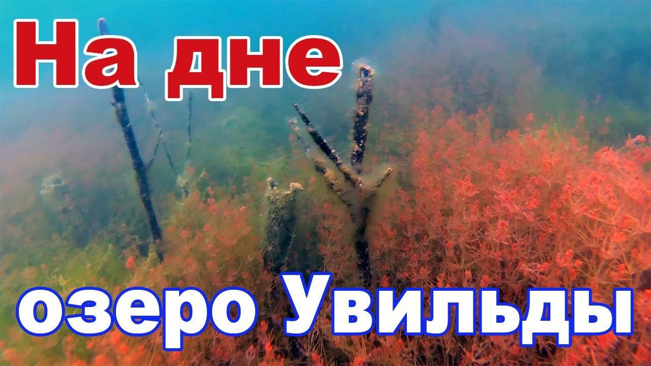 Под водой на озере Увильды - пришла жара на Южный Урал