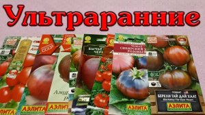 Ультраранние томаты 24.11.2022