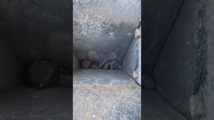 Дробилка щековая для вторичного щебня.