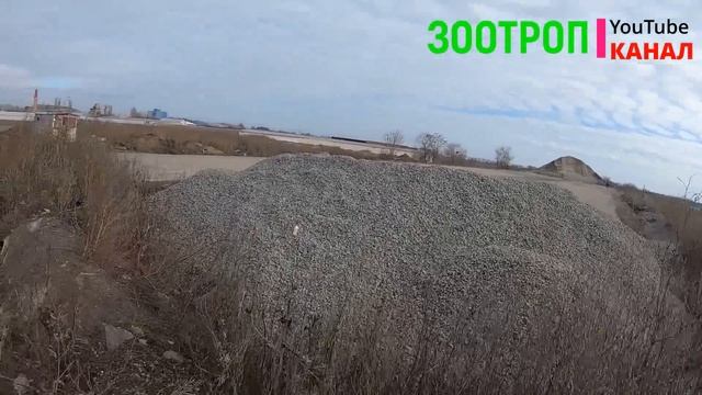 Одесская дорога в никуда. Север-Юг. Мост 6 км. Промрынок. смотреть онлайн