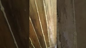 Перепелятник своими руками.