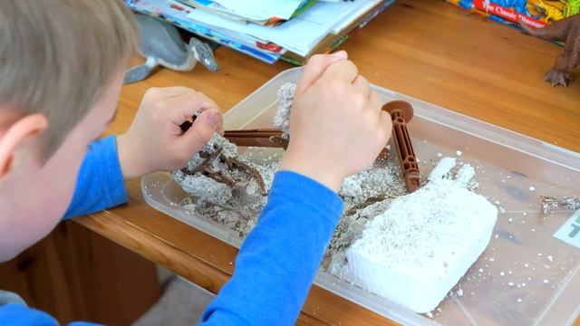 Игра раскопки динозавров - Трицератопс (набор раскопки динозавров для детей)