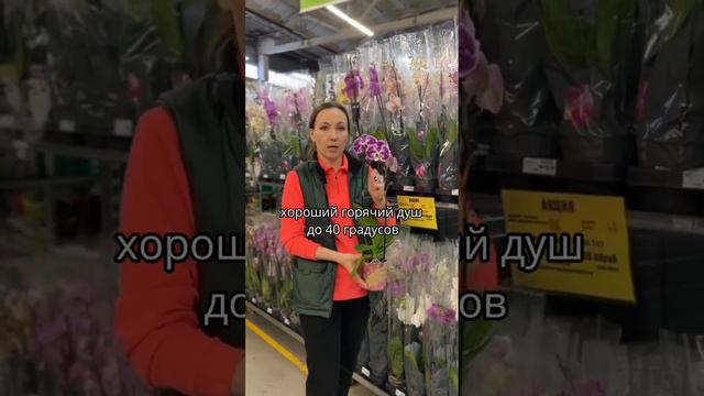 Часто задаваемые вопросы. Почему орхидея не цветет? Рассказываем.