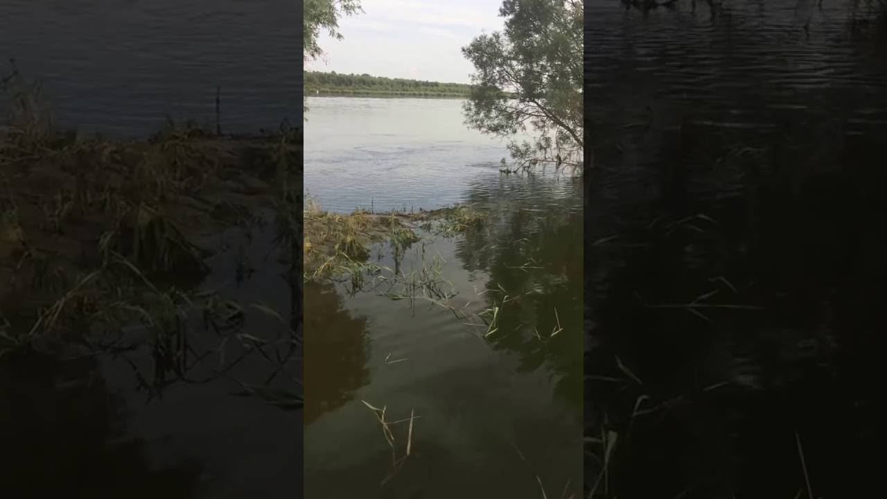 Окуневый котёл на Иртыше смотреть онлайн