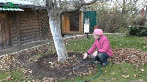 ?? Осенний влагозарядный полив: что поливать, каким способом и насколько обильно - 7 дач