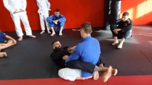 Открытый семинар по BJJ в Старом Осколе